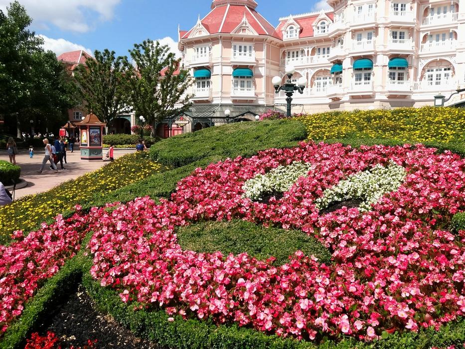 Pink flowers near a beautiful building