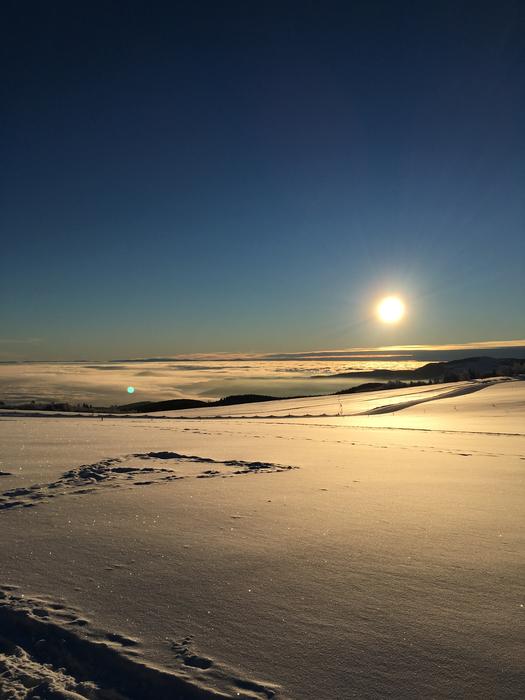 Winter Landscape Snow