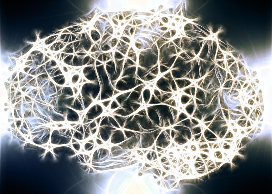 neurons brain cells brain structure