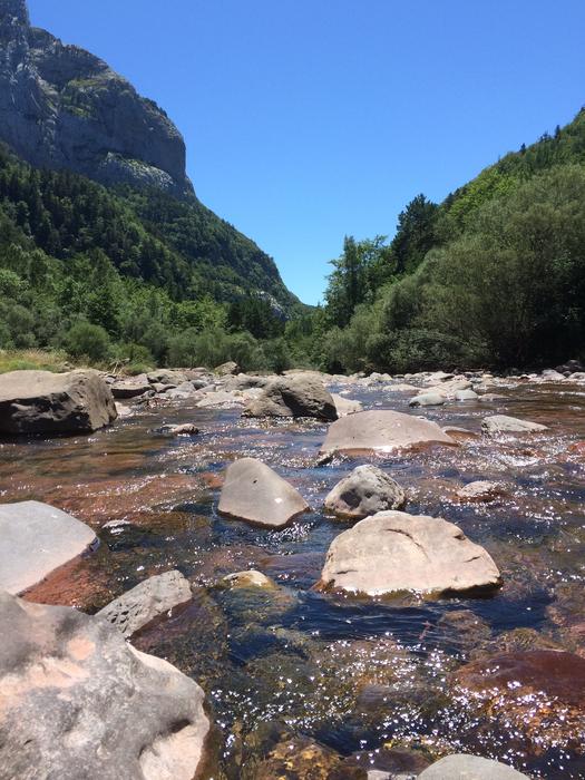Nature Path Water