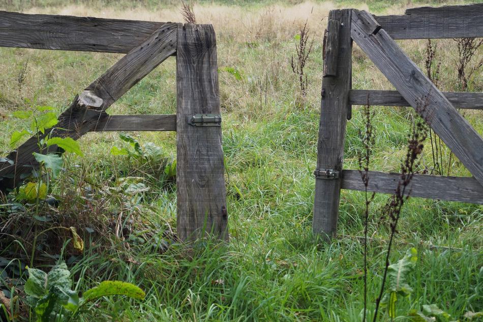 old wooden fence in the field