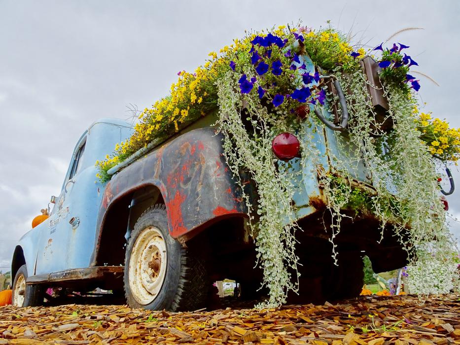 Truck Retro Flowers