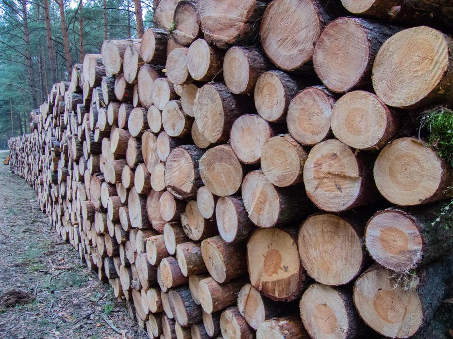 Wood Slice Stack