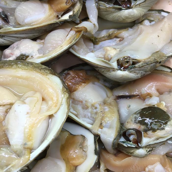 fresh raw mussels