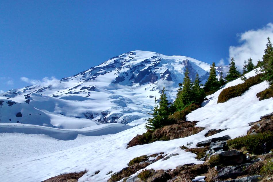 snowy mountain in the national park in Washington