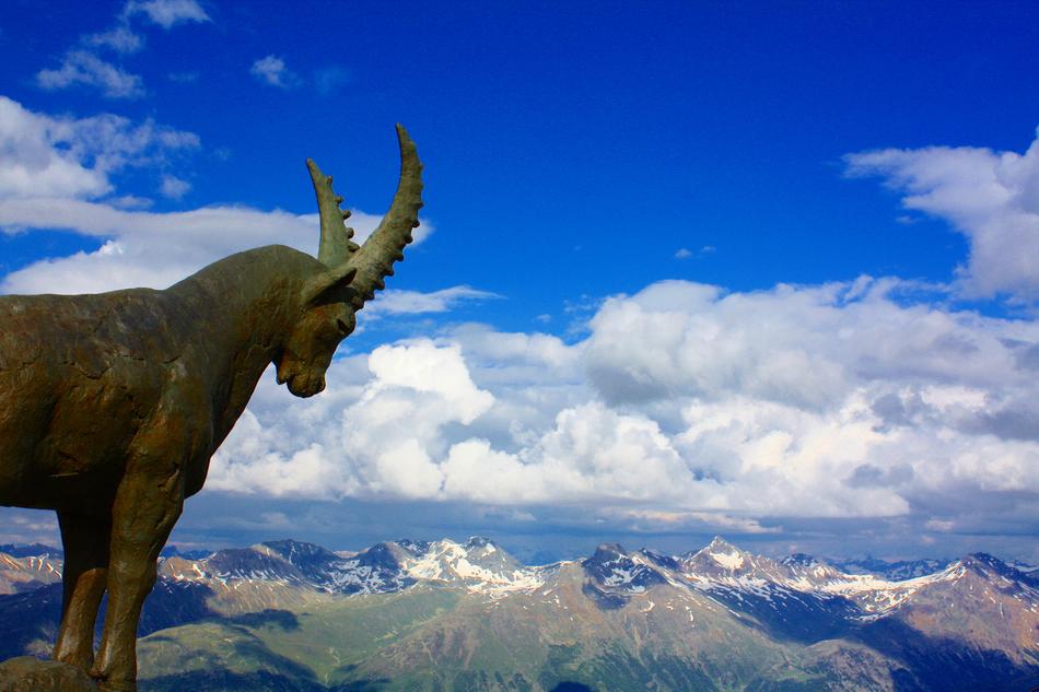 Ibex Metal Alps