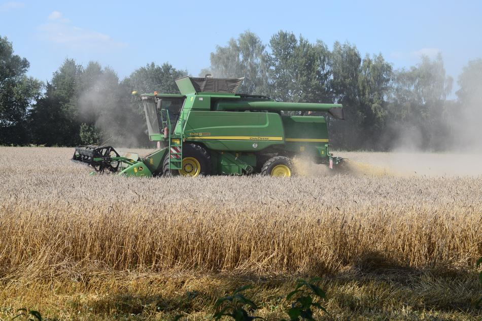 Harvester Harvest Rye