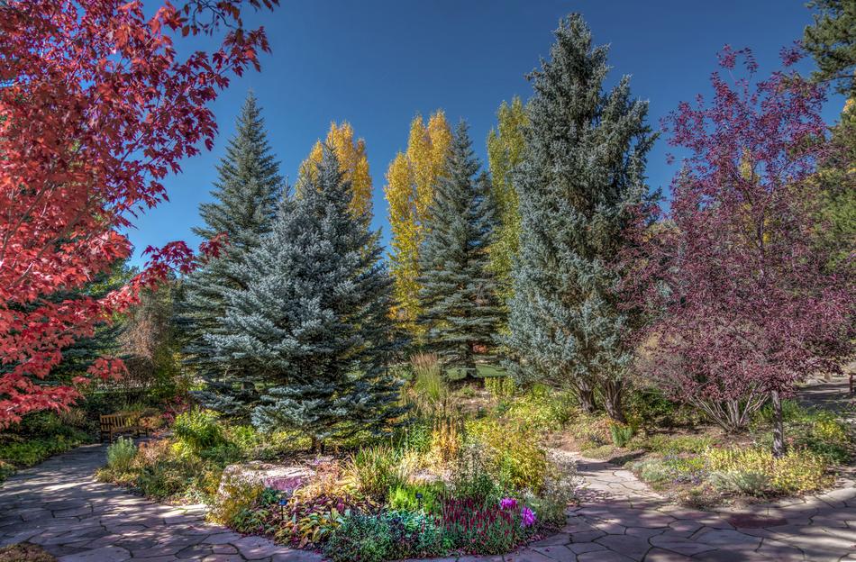 Vail Colorado Betty Ford Park