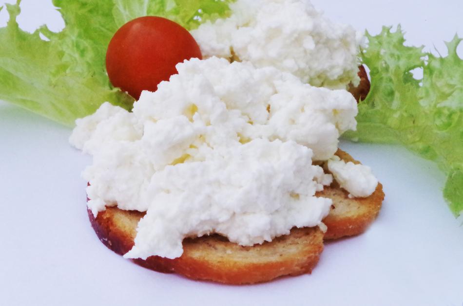 Curd Cheese