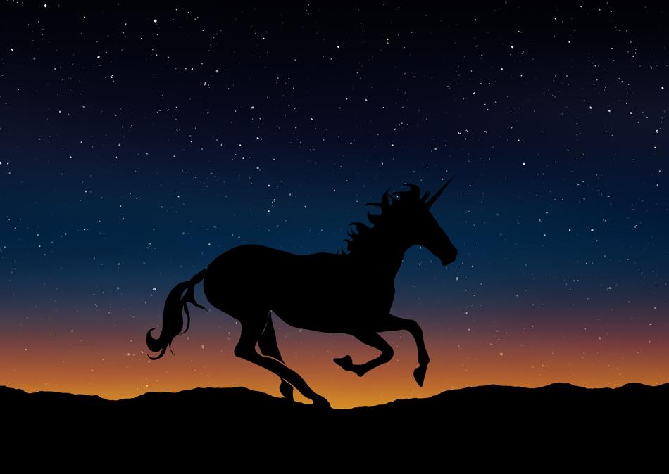 Unicorn under the starry sky