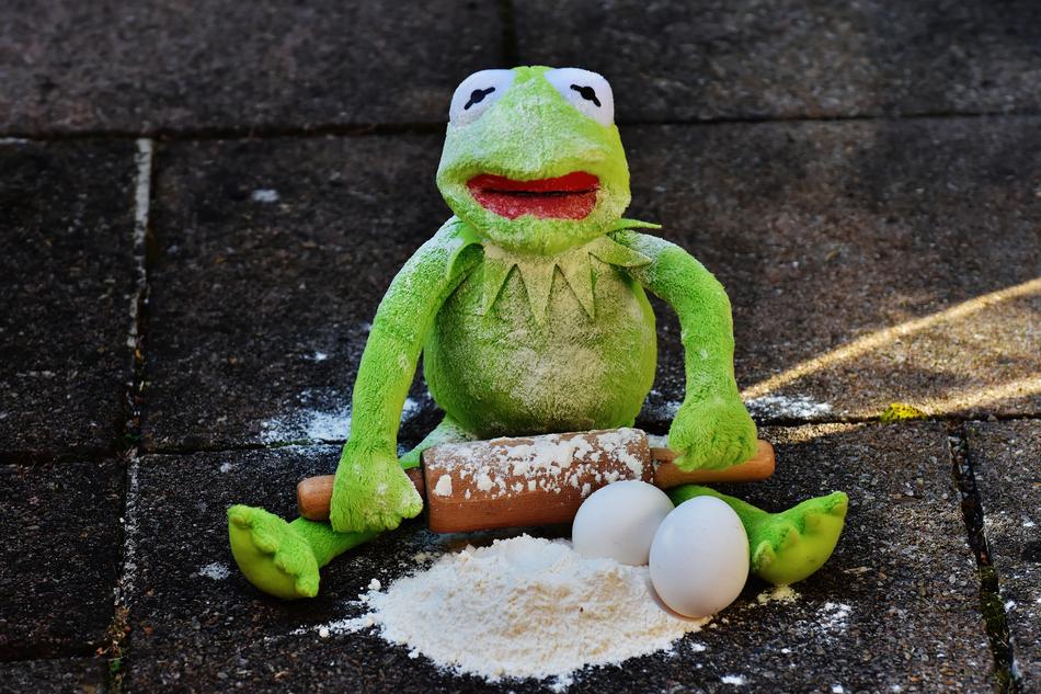 The frog with flour and eggs is happy