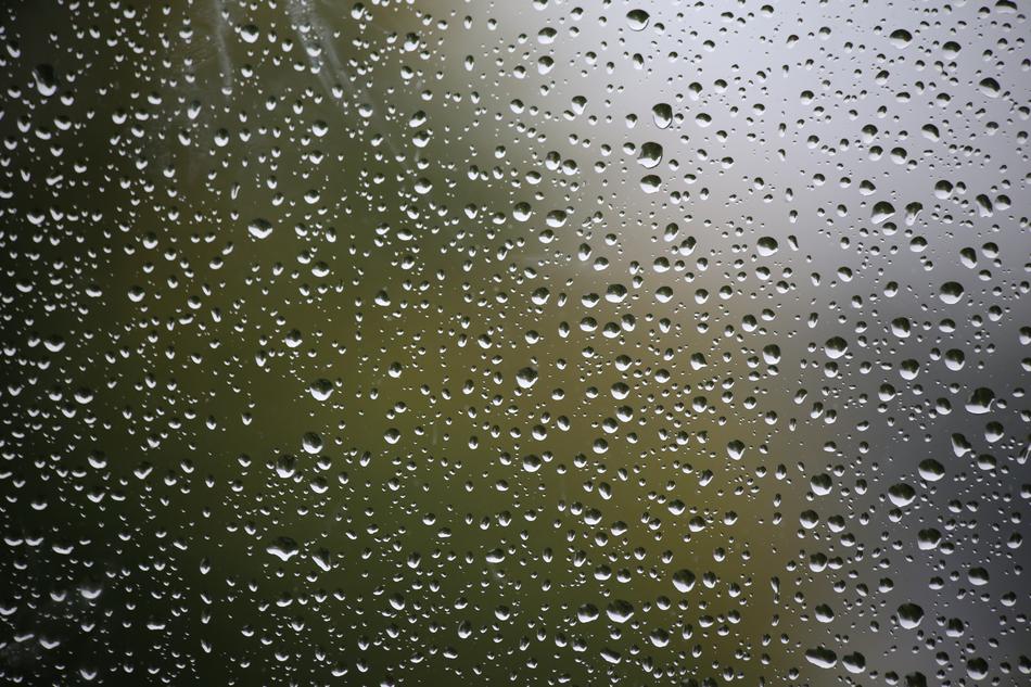 raindrops on a fuzzy window