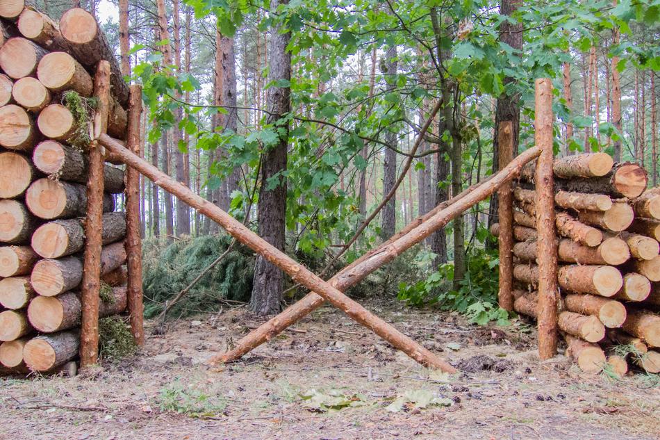 Wood Slice Stack
