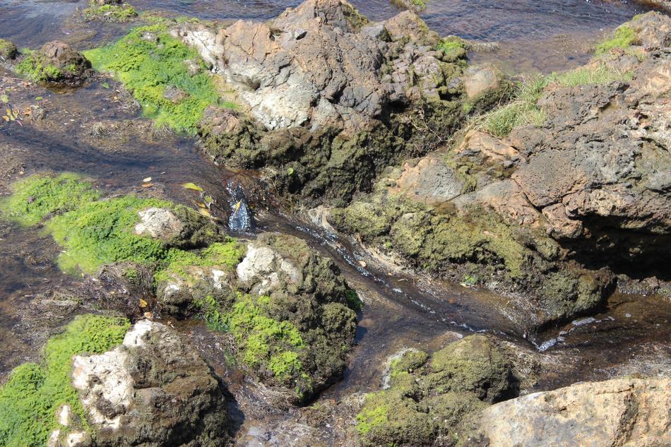 Creek Rocks Stream