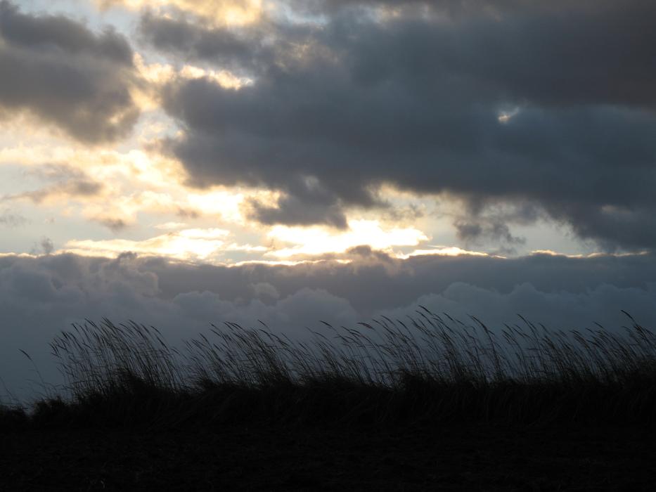 evening thick clouds over the grass