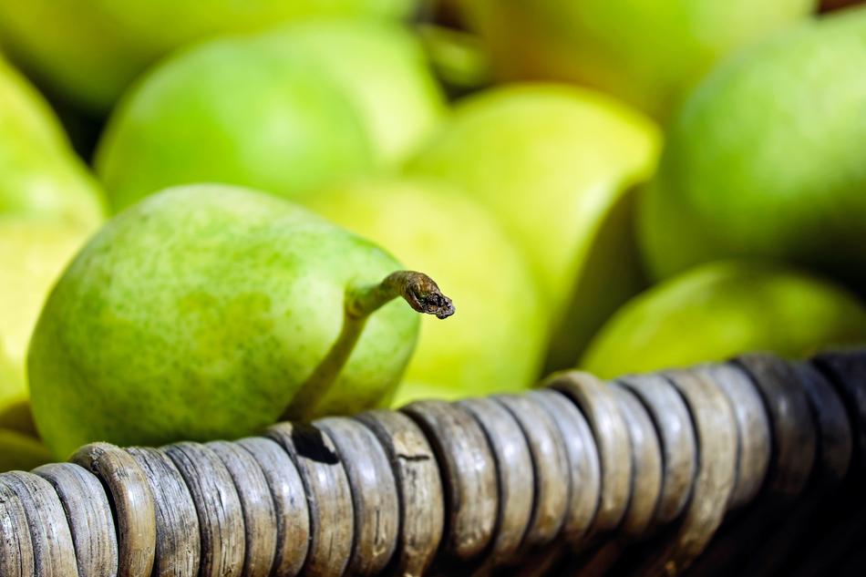 Pears Fruit Fruits Green