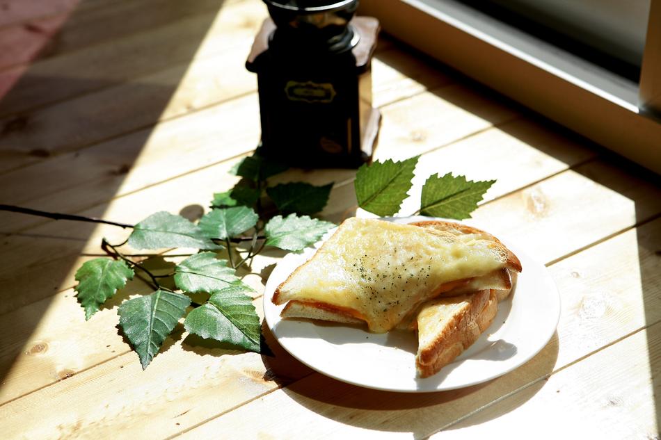 toasted bread with wine