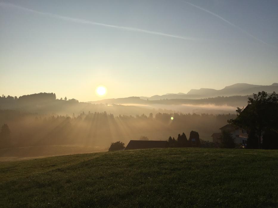 a beautiful sunny fog