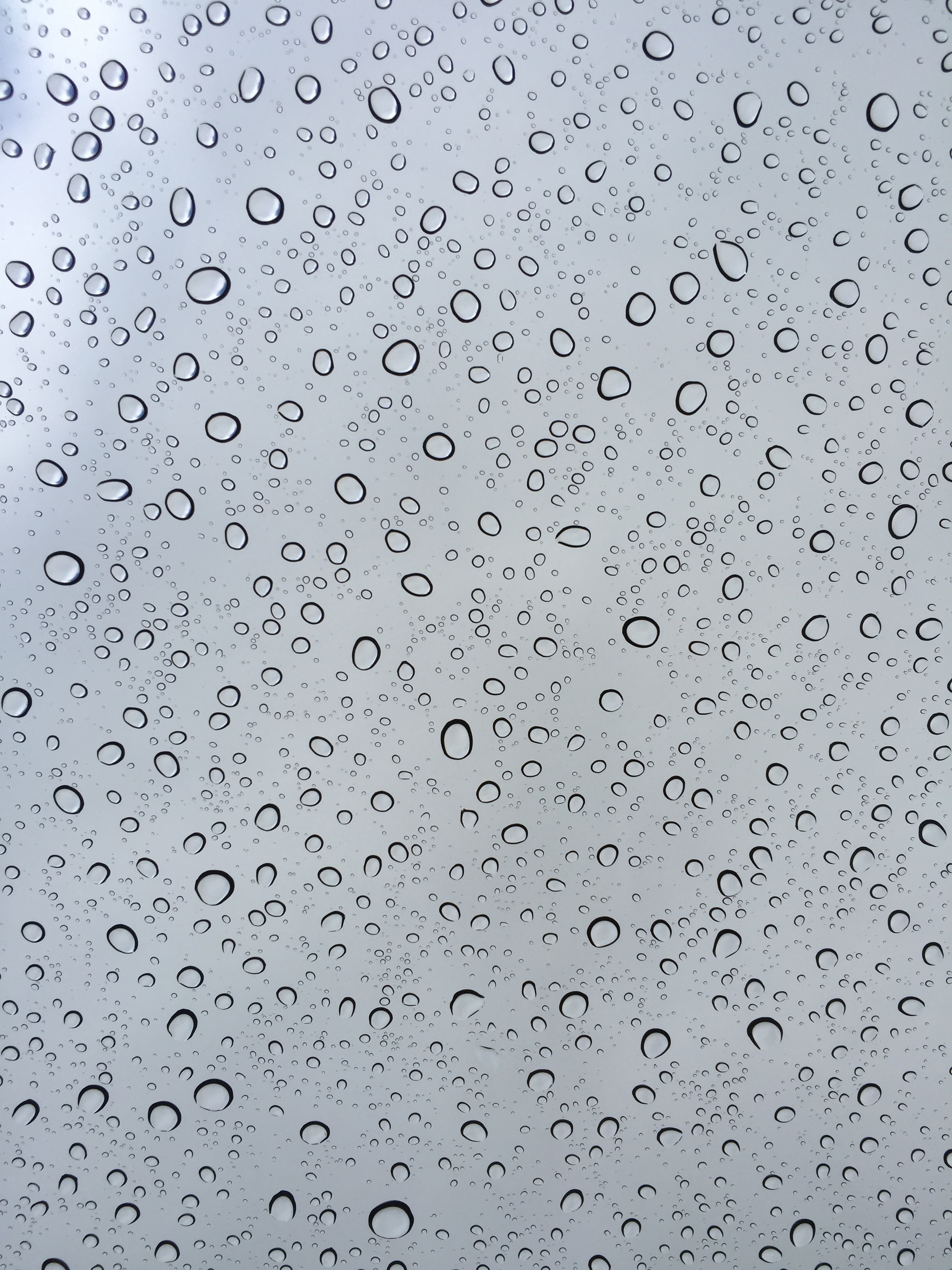 Rain Drips free image download