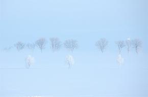 Winter Sweden Snow