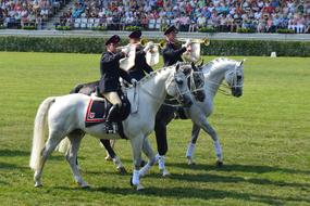 musicians on horseback at the stallion parade