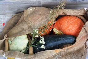 tasty healthy vegetables