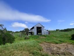 old barn in the field