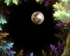 fractal forest fractal night forest