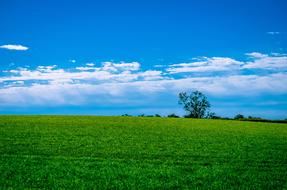 Landscape Grass Sky