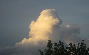 white cloud over the trees