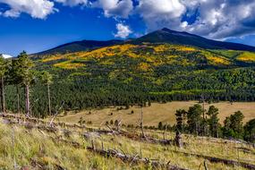 Coconino National Forest Arizona