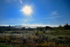 Sun Mist Field