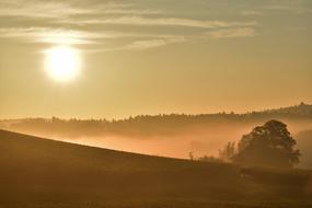 Sunrise Autumn Fog