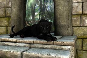 black panther lies on stone steps