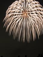 beautiful fireworks bright