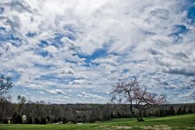 Clouds Field Spring