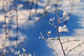 Winter Snow Landscape