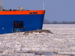 blue icebreaker on ice on a sunny day