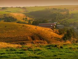 Moldava Landscape Summer