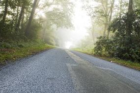 Landscape Fog Road Early