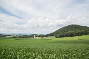 Green Land Sky