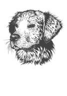 dog animal as illustration on white