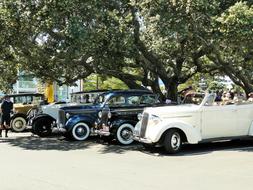 Classic Cars Deco