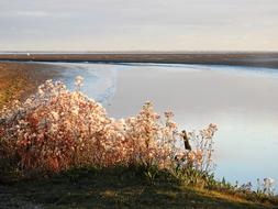 Landscape Nature Water