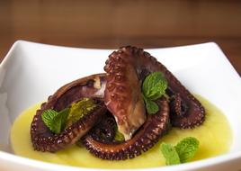 octopus in sauce