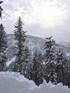 Colorado Winter Snow