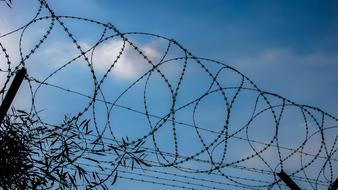Wire Fence Metal