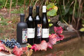 Wine Bottle Label