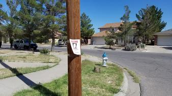 Missing Person Poster Runaway