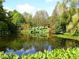 English Garden Water